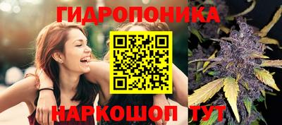 марки lsd Будённовск